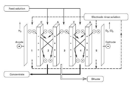 Electrodialysis.jpg