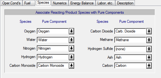 GasificationSpecies.jpg